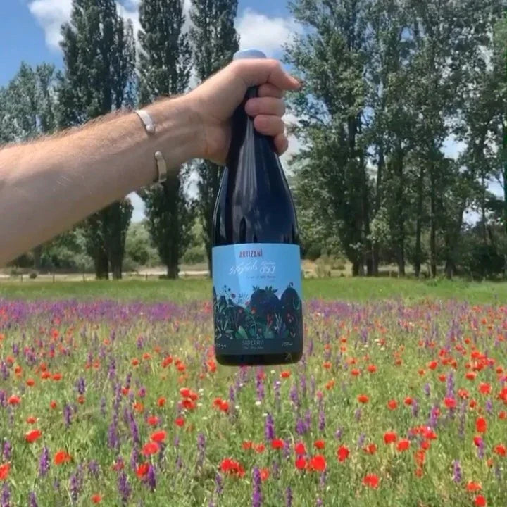 アーティザニ サペラヴィ 2022 赤ワイン ジョージアワイン - georgianwinestore