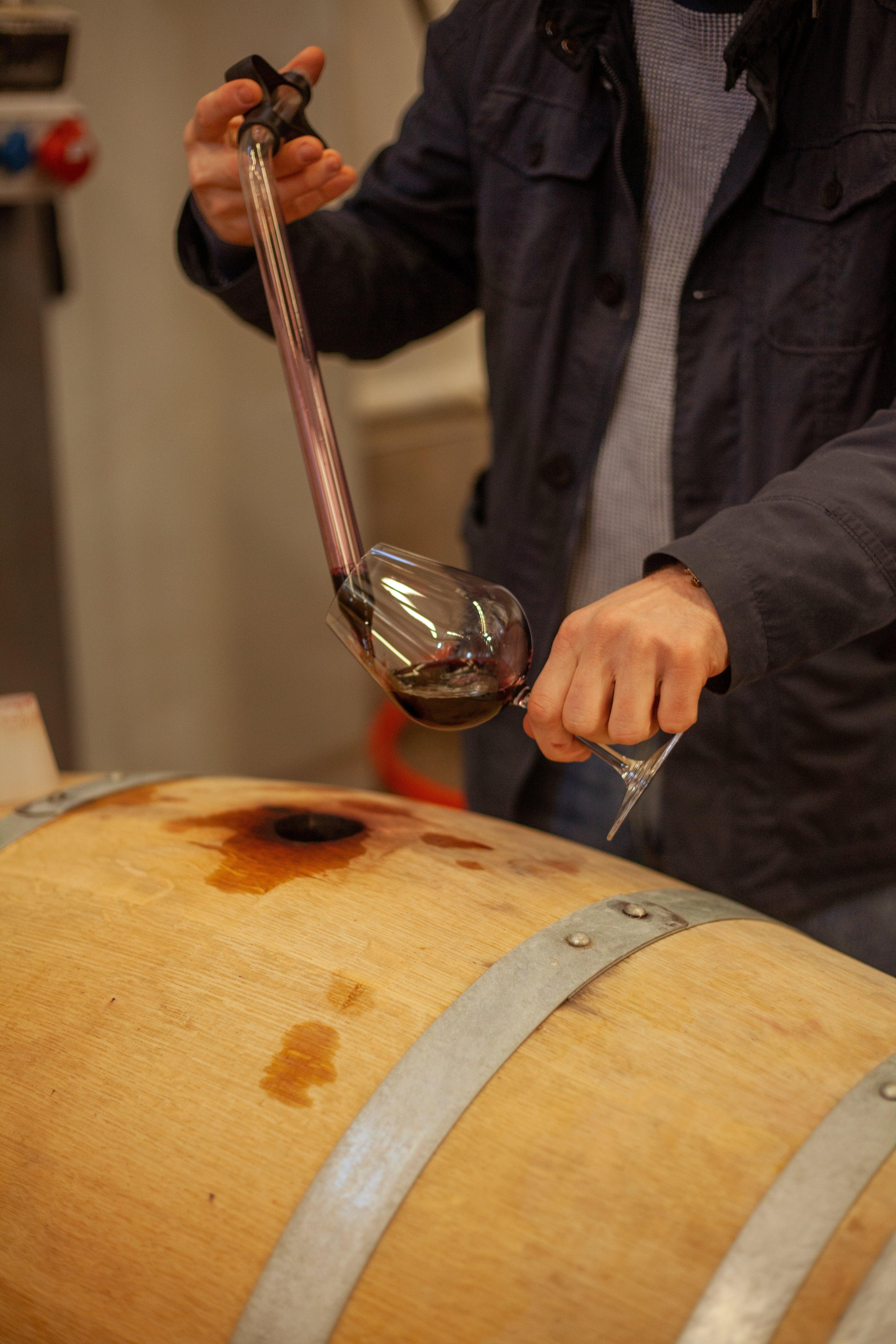 ティコエステイト サペラヴィ 2021 赤ワイン ジョージアワイン カヘティ地方 - georgianwinestore