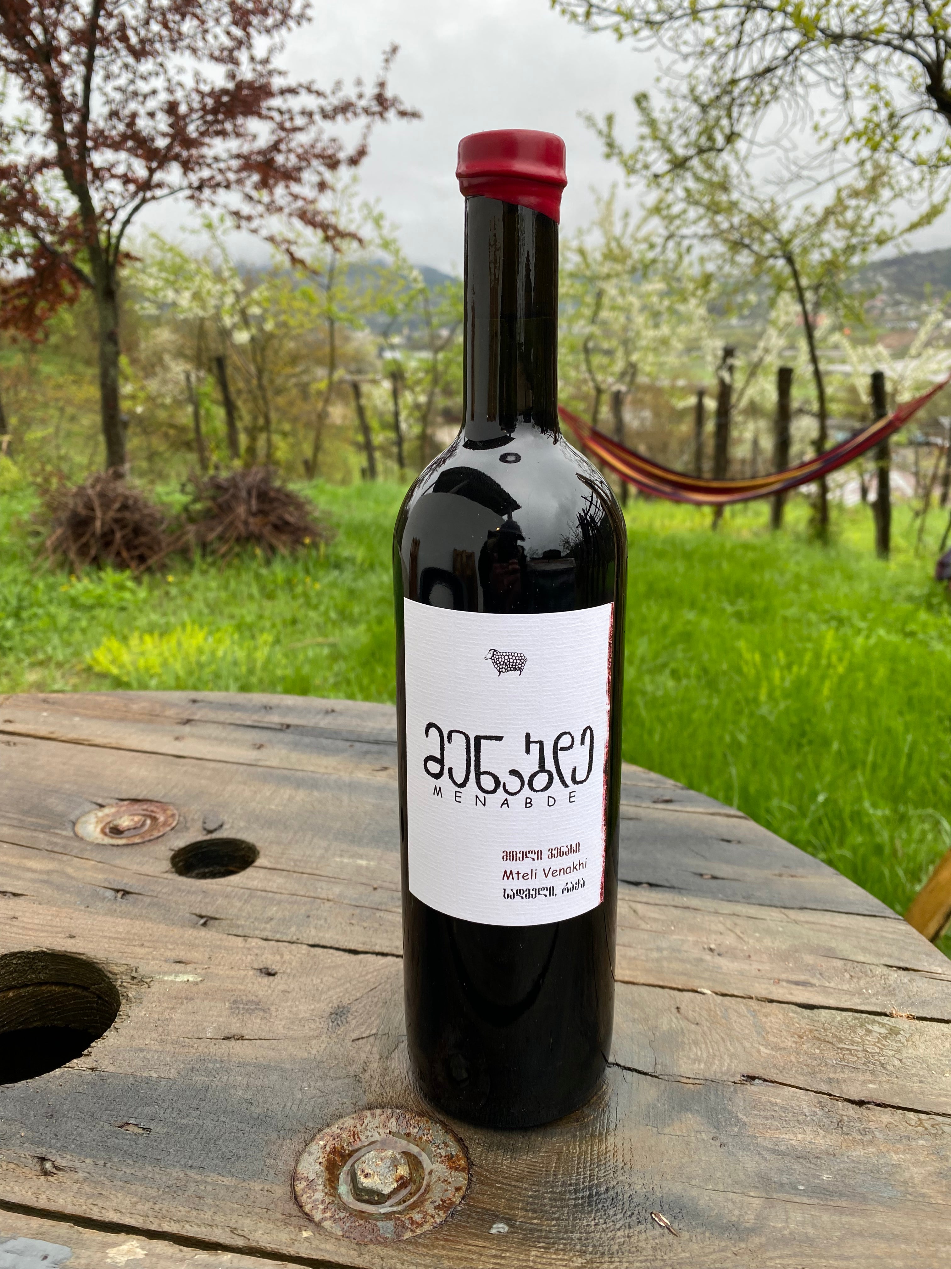 メナバゼ シャヴィ・カビストニ 2023 赤ワイン ラチャ地方 - georgianwinestore