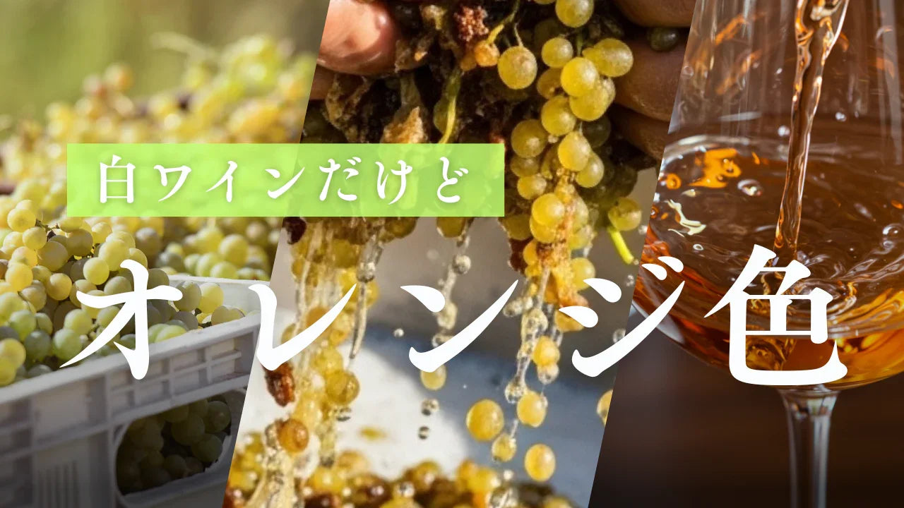 白ワインなのにオレンジ色？知っておくべきオレンジワイン知識