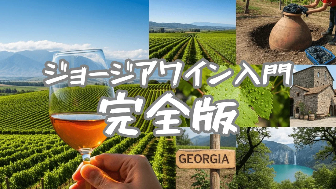 ジョージアワイン入門完全版という文字が重ねられたサムネイル画像