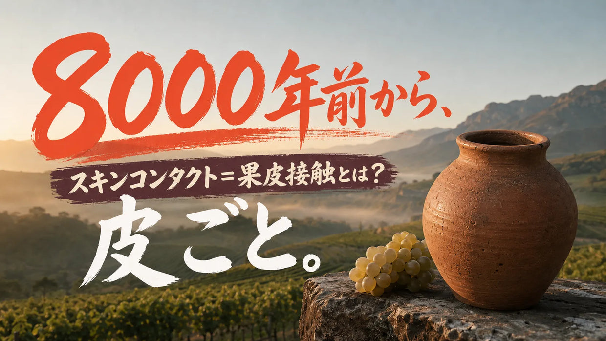 クヴェヴリと白ブドウを背景に、スキンコンタクトによるオレンジワインの構造と品種ごとの違いを解説する記事サムネイル