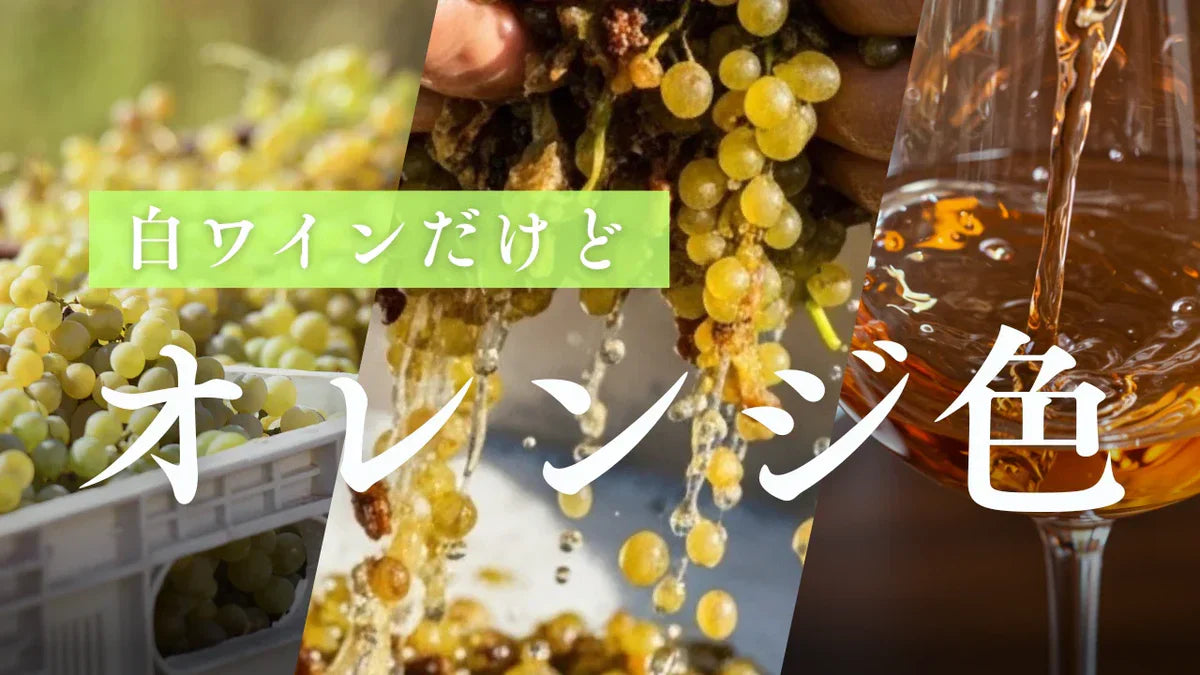 知っておくべきオレンジワイン知識【3分程度】