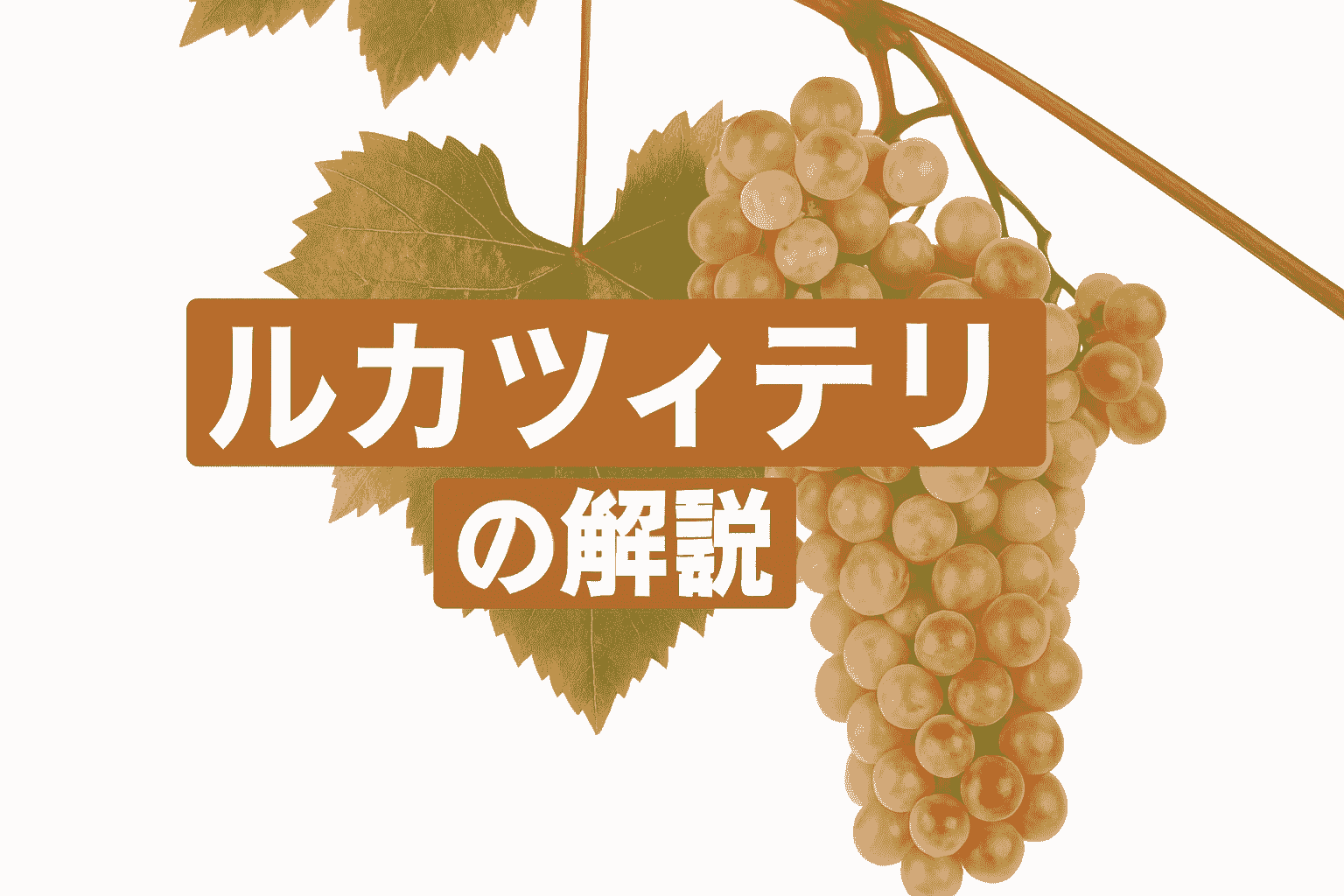 ルカツィテリ｜ジョージアワインを代表する白ブドウ品種を解説