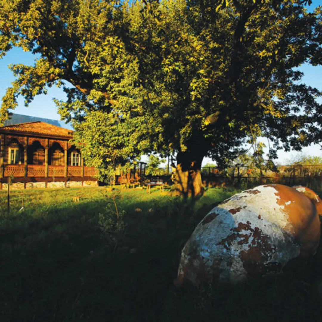 text-block-image-template--25086469603604__ss_text_block_pro_4bL6xk