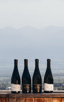 ティコエステイト ヒフヴィ 2023 白ワイン ジョージア カヘティ地方 - georgianwinestore