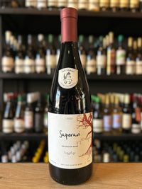 チュリチネブリ サペラヴィ 2022 赤ワイン ジョージア イメレティ地方 - georgianwinestore