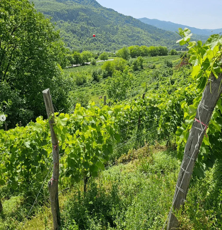 text-block-image-template--25086468751636__ss_text_block_pro_MnCdyj