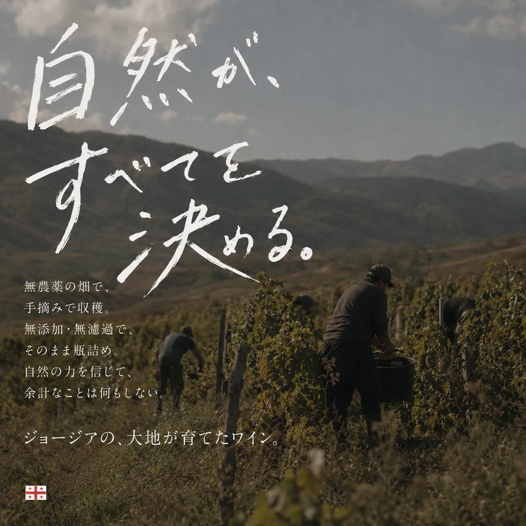 ジョージアワインの畑で収穫する人々と「自然が、すべてを決める」の筆文字を重ねた自然派ワインの画像