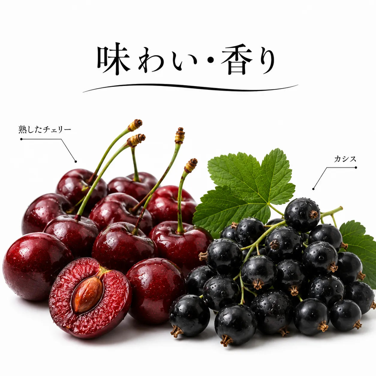 ジョージア赤ワインの香り解説図。熟したチェリーとカシスの豊かな果実味をイメージ