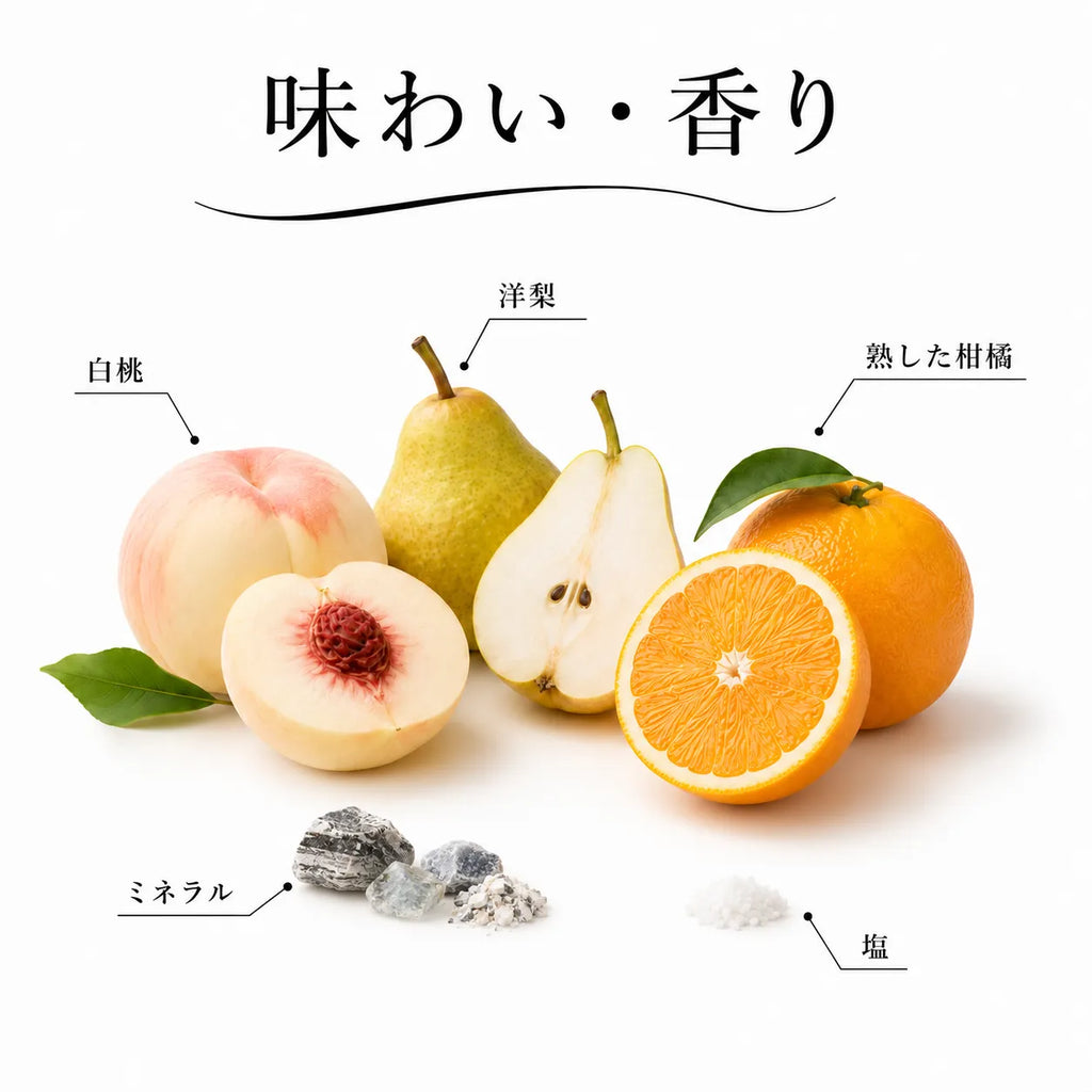 ジョージアワインの味わい・香り解説図。白桃や洋梨、熟した柑橘、ミネラル、塩