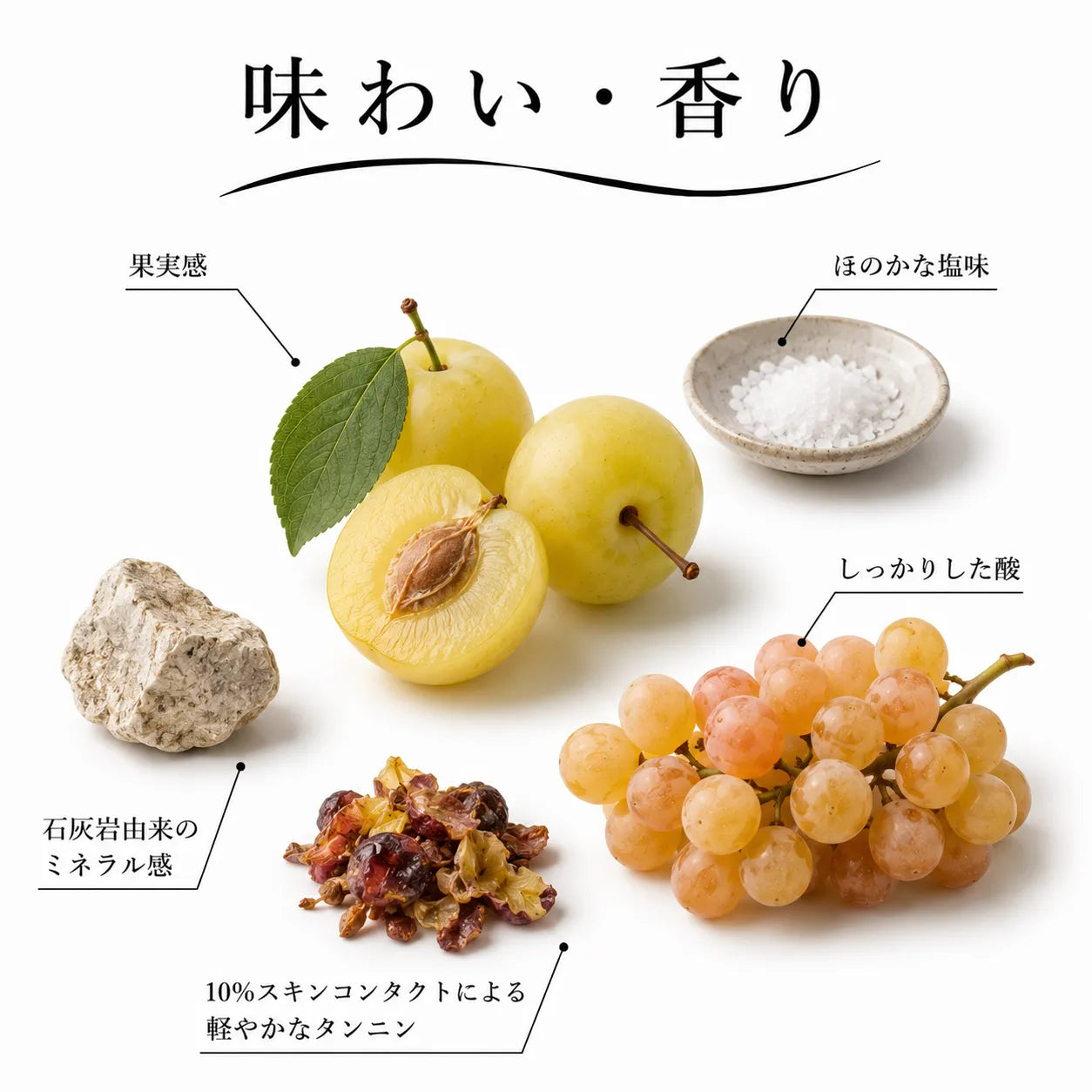 ジョージアワインの味わい・香り解説図。果実感やほのかな塩味、石灰岩由来のミネラル感