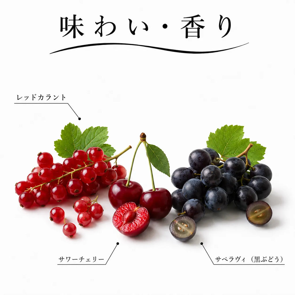 ジョージアワインの味わい・香り解説図。レッドカラントやサワーチェリー、黒ぶどうのサペラヴィ