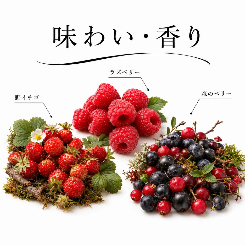 ジョージアワインの味わいと香りを、野イチゴやラズベリー、森のベリーで表した図解画像