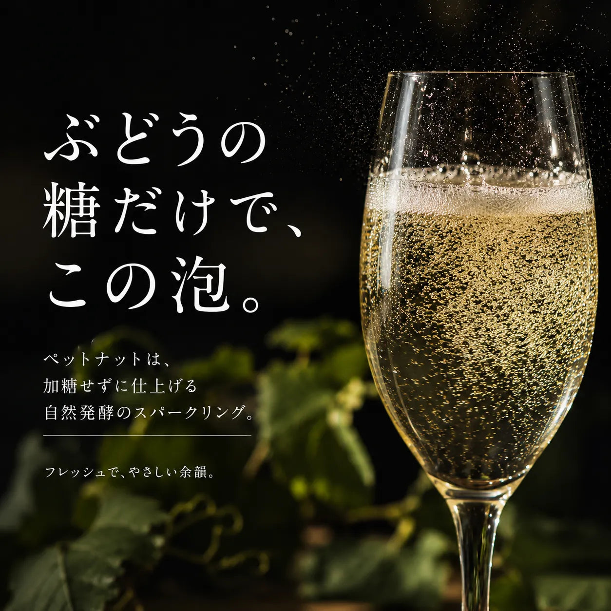 ペットナットはぶどうの糖だけで泡を生む解説。暗い背景に輝くスパークリングのグラス