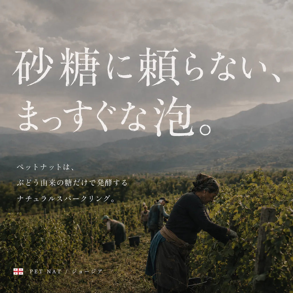 砂糖に頼らないまっすぐな泡というペットナットの訴求。曇り空のブドウ畑と収穫