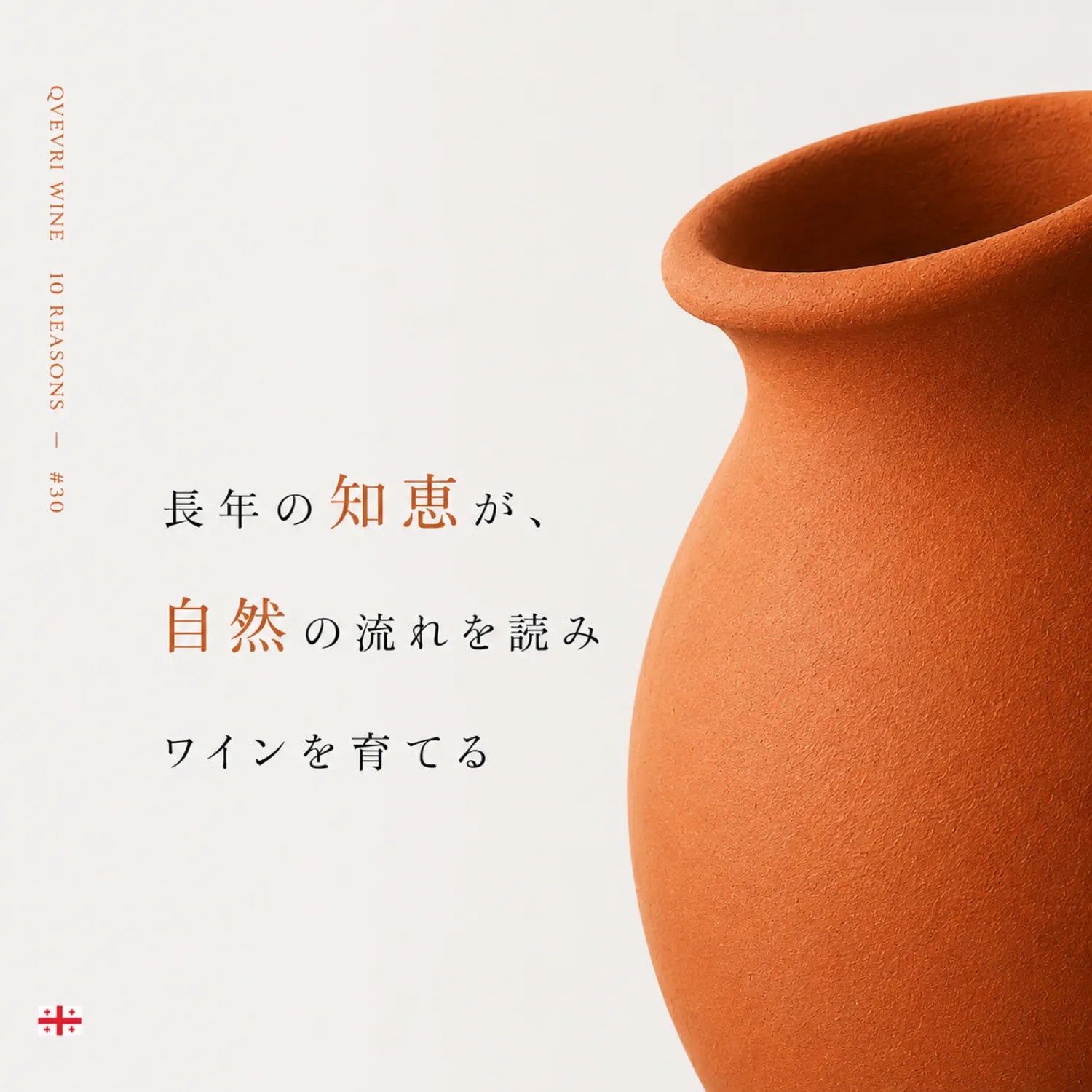 クヴェヴリワインの魅力解説。長年の知恵が自然の流れを読みワインを育てるという言葉