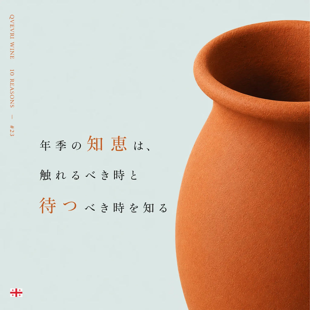 クヴェヴリワインの魅力解説。年季の知恵は触れる時と待つ時を知るという言葉と壺