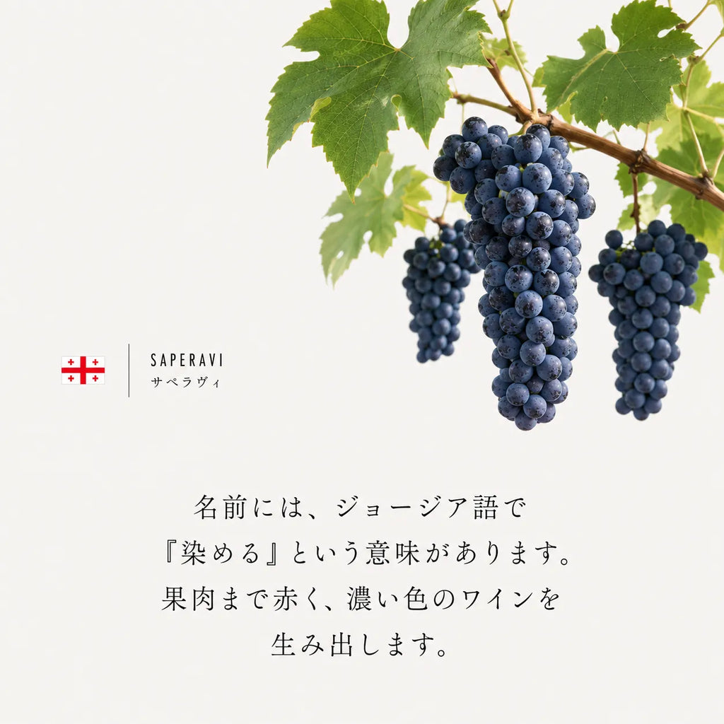 ジョージアの黒ブドウ「サペラヴィ」の解説画像。名前の由来「染める」と果肉まで赤い特徴、濃厚なワインを生み出す性質を説明。
