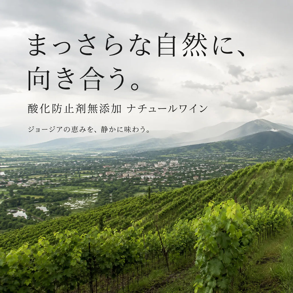 酸化防止剤無添加ナチュールワインを表す、町を見下ろすジョージアの丘のぶどう畑の風景画像