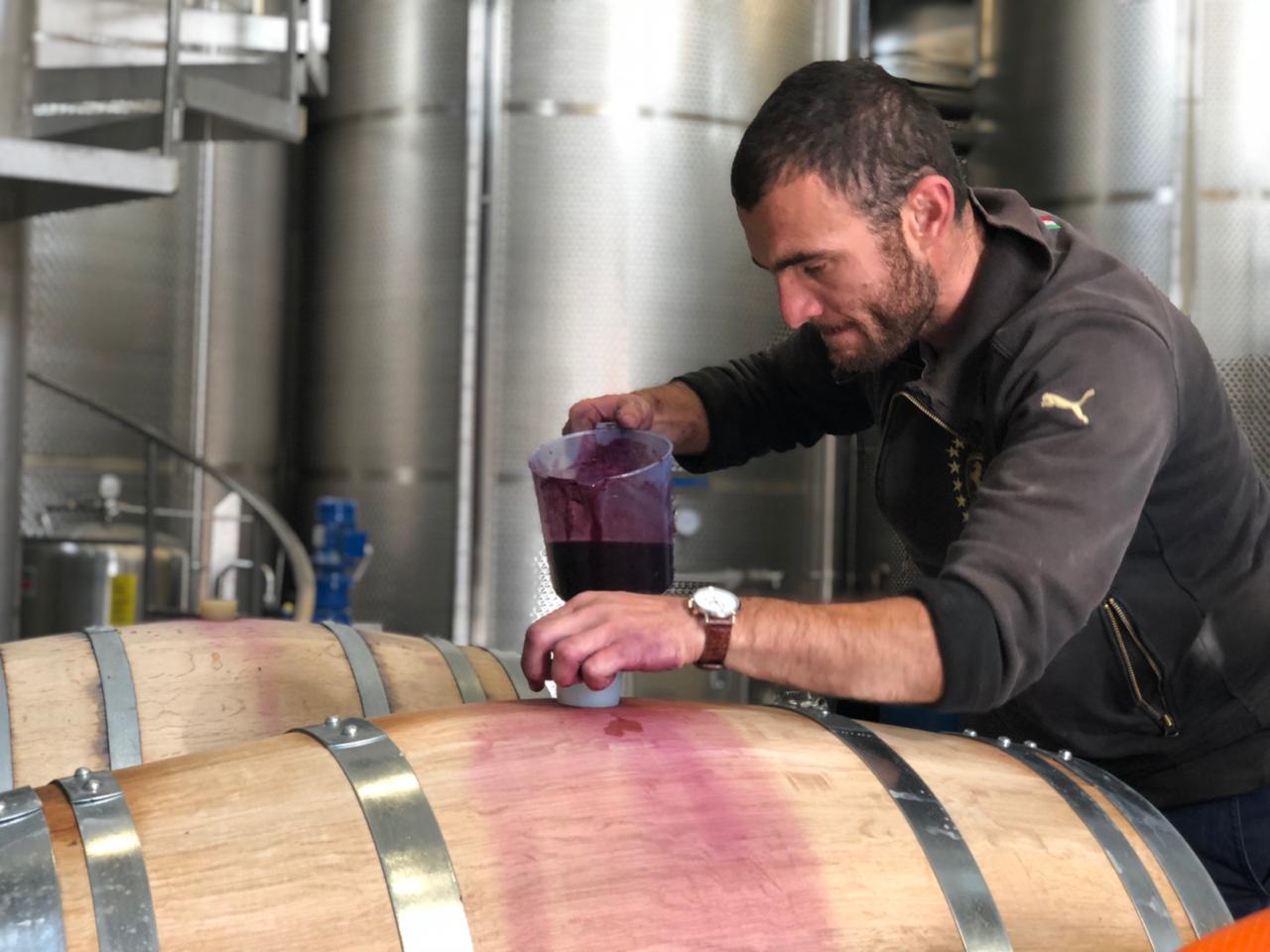 ティコエステイトのサペラヴィ、赤ワインの品質をチェックする様子
