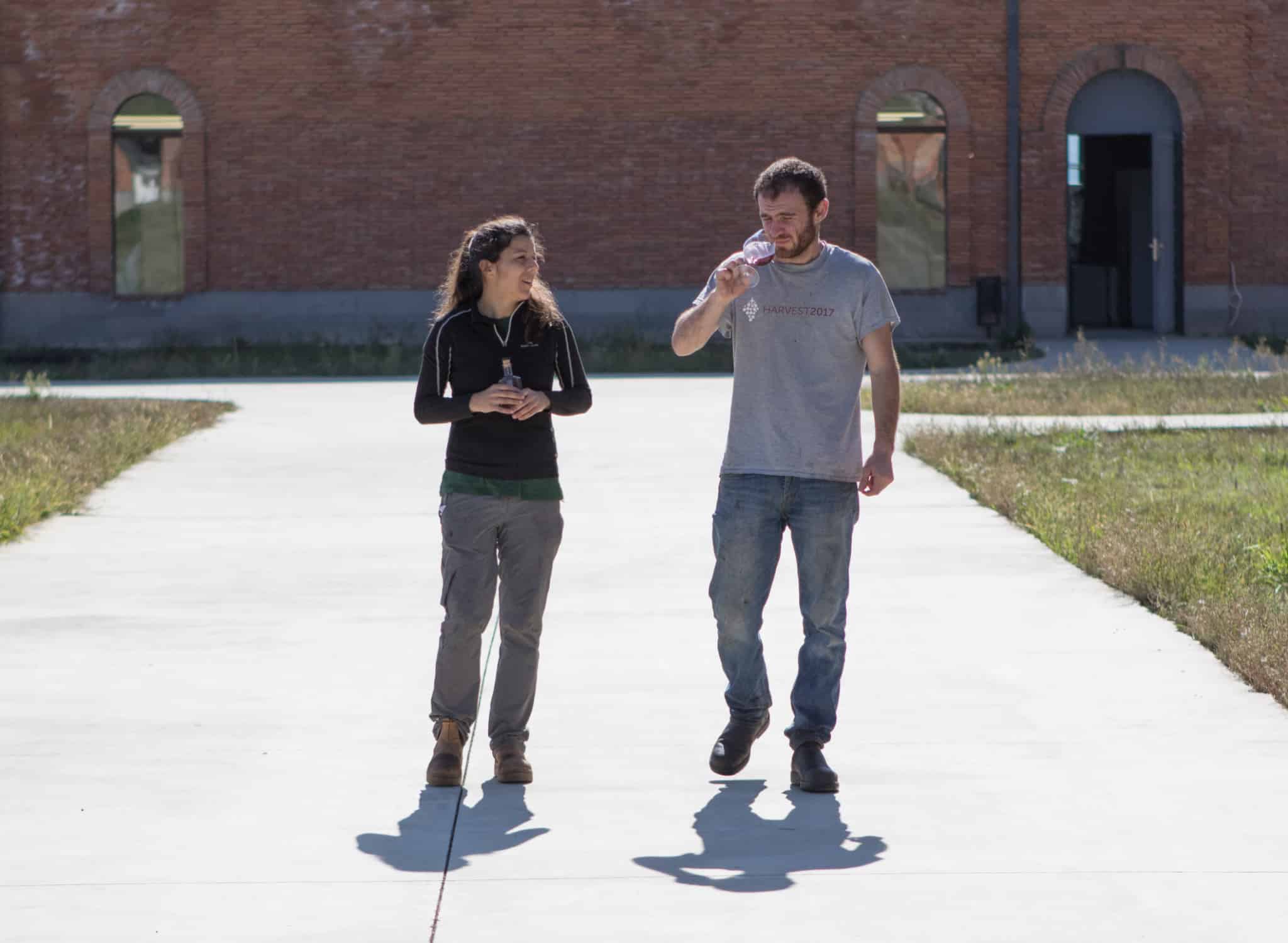 ティコエステイトのワイナリーで試飲する様子