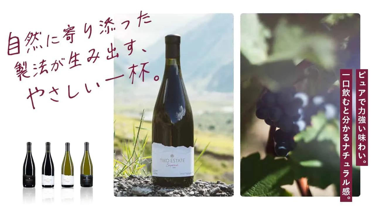 赤ワインを中心としたジョージアワインの特集ページ