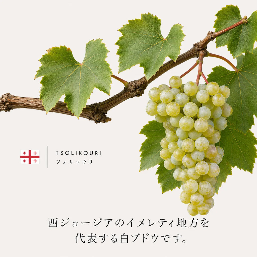 白ブドウ品種「ツォリコウリ」の粒の接写画像。カビ病に強い厚い果皮の質感とみずみずしさを強調したマクロ撮影。