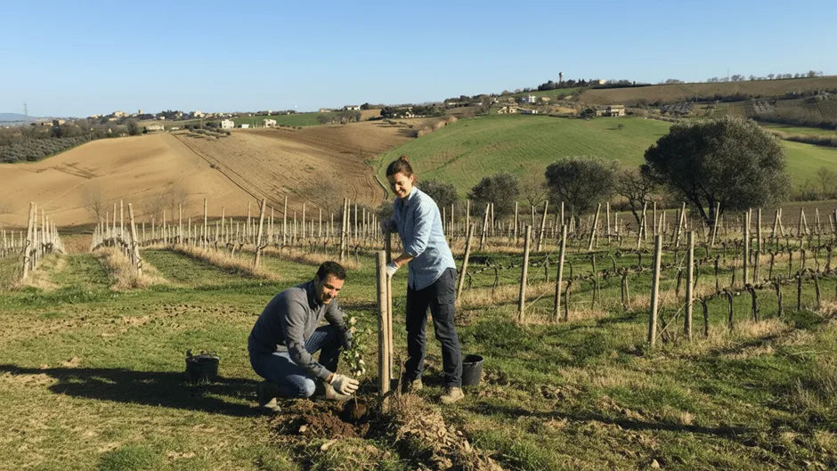 text-block-image-template--25086468751636__ss_text_block_pro_4rQ3LL